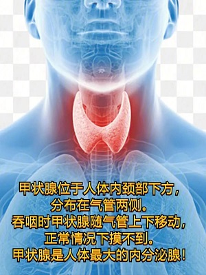 【健康科普】甲狀腺癌你知多少？