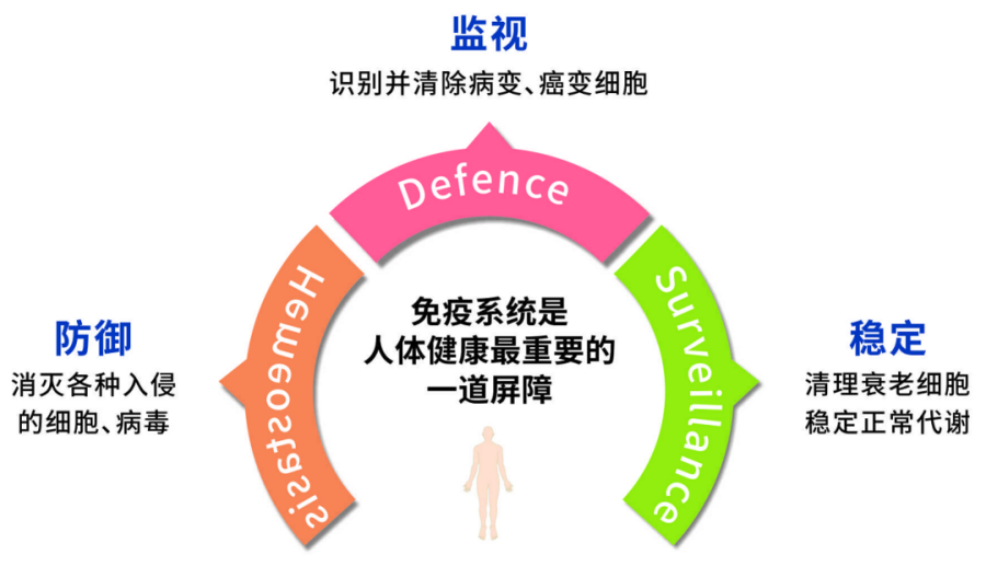 【醫(yī)訊】免疫五項(xiàng)（IgA、IgG、IgM、C3、C4）檢查