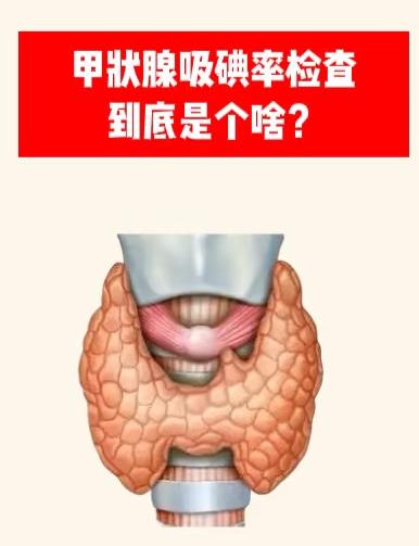 吸碘率檢查.jpg